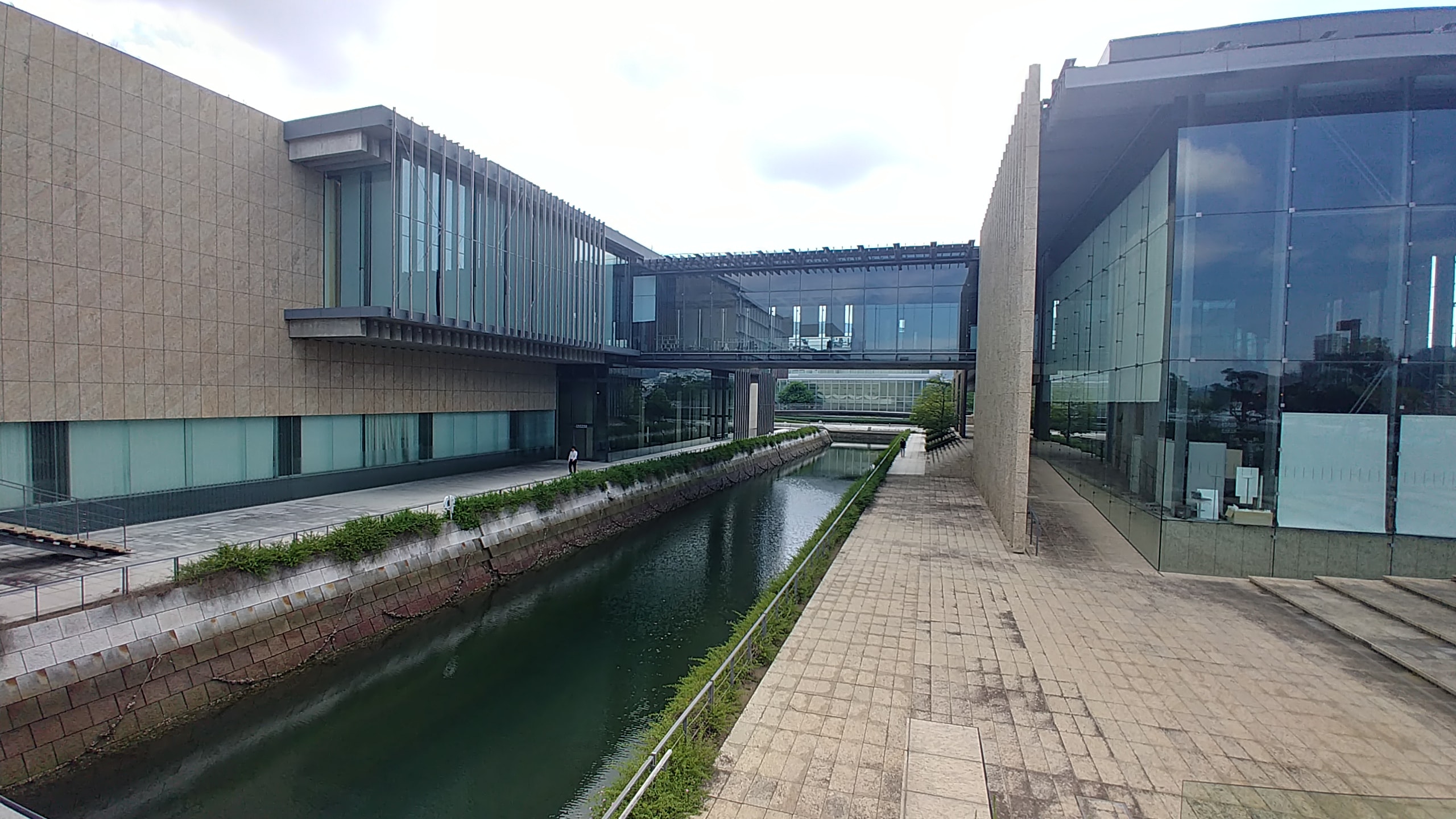 20190912_113619_HDR